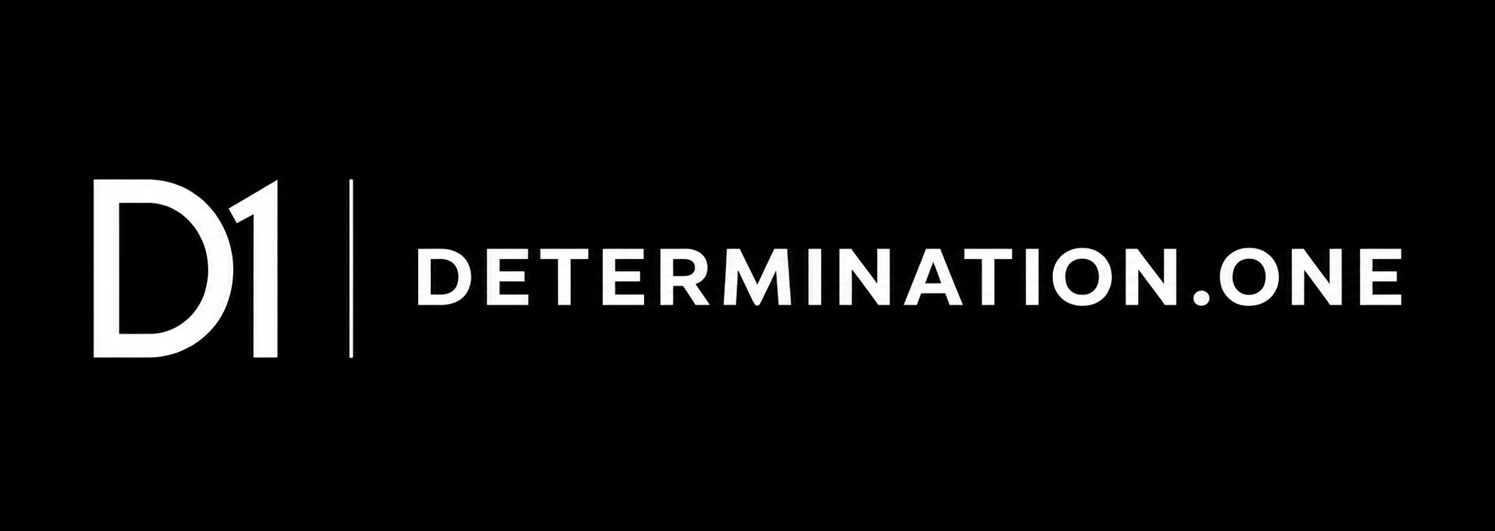 DETERMINATION.ONE